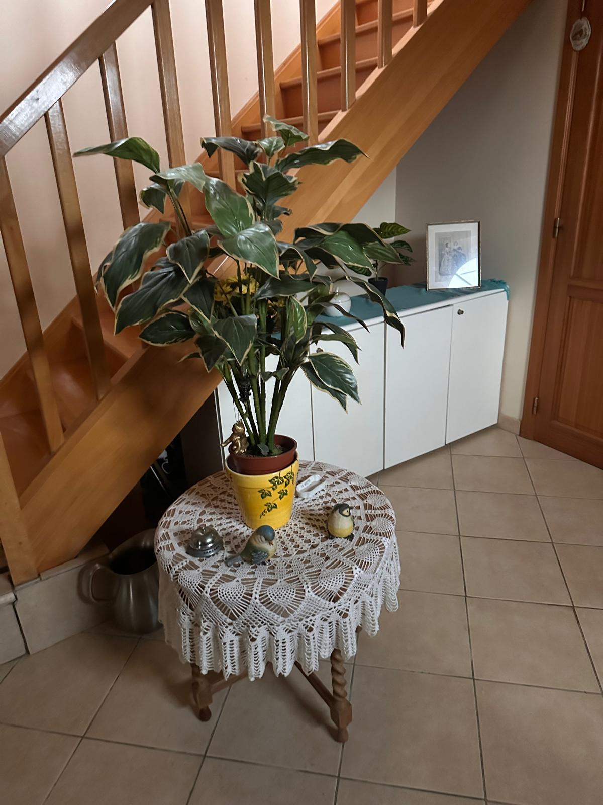 Professionele ontruiming via LeegmakenWoning.be